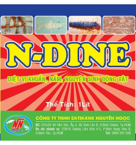 N-DINE