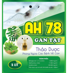 AH 78 - GAN TẠT